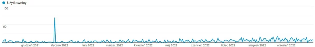 Case study firma z branży budowlanej i balustrad-historia ruchu w toku współpracy